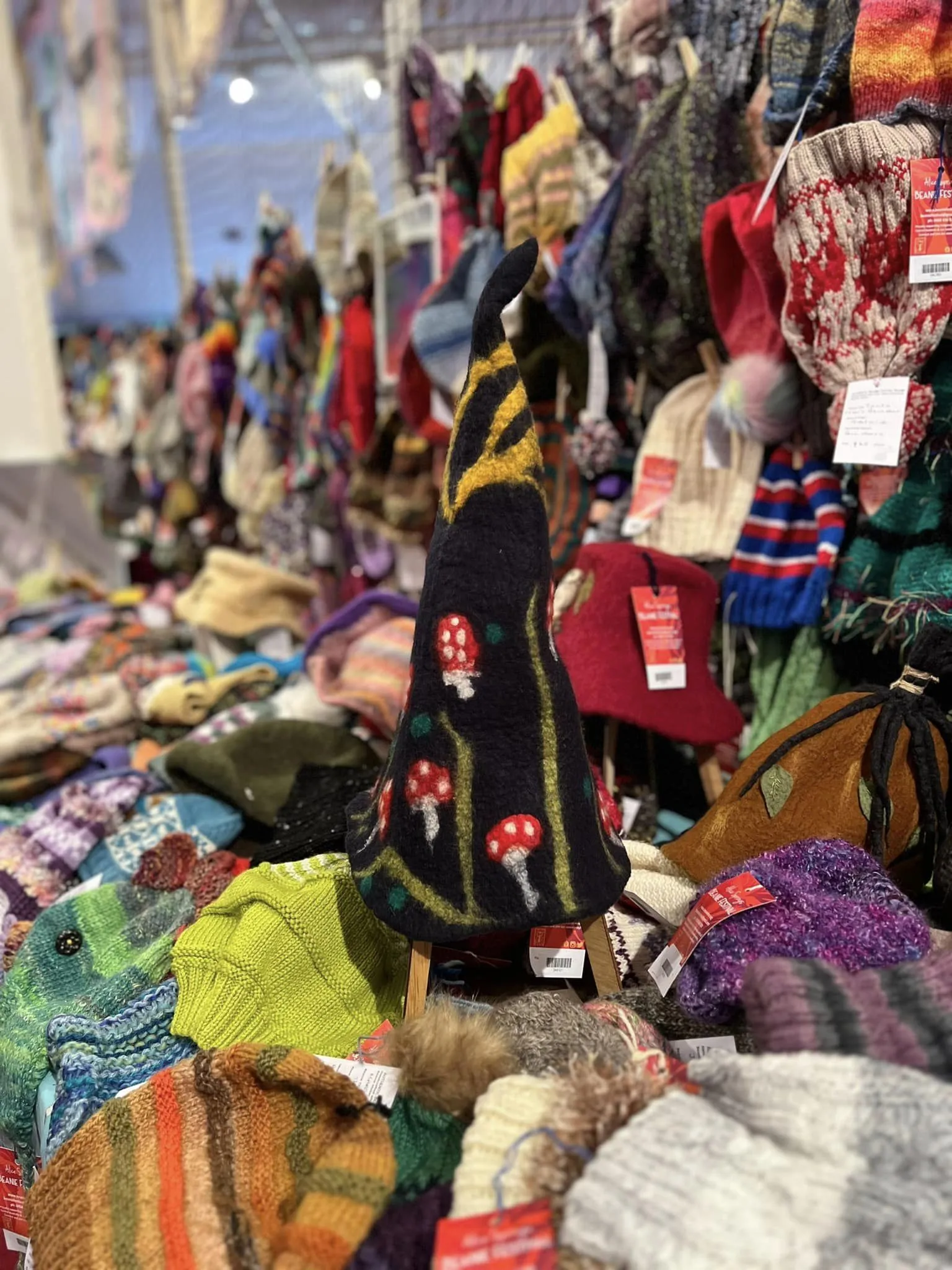 Alice Springs Beanie Festival Tour 14 - 23 June 2025 - Fully escorted from Sydney