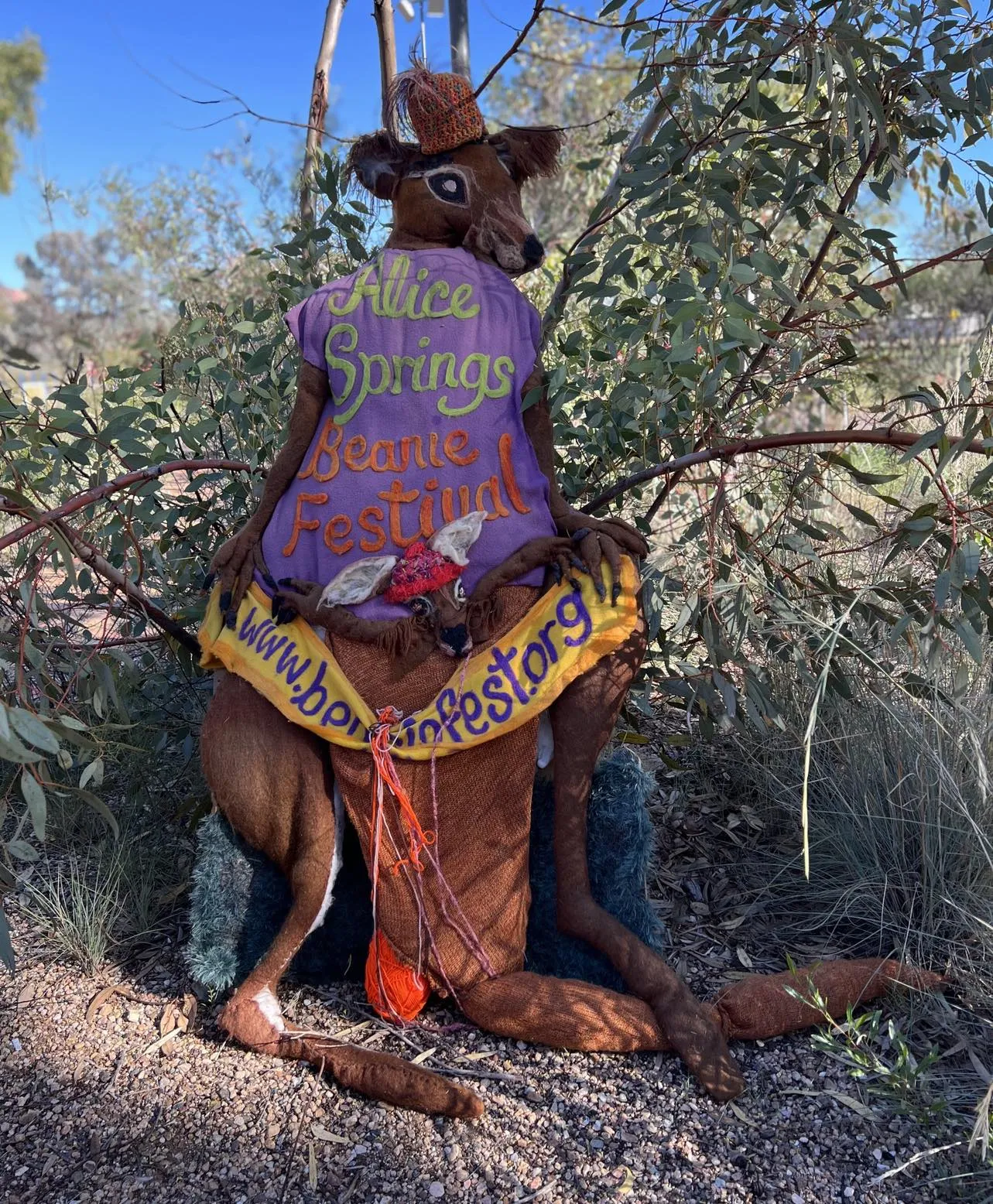 Alice Springs Beanie Festival Tour 14 - 23 June 2025 - Fully escorted from Sydney