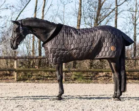 Classy 100g Stable Rug