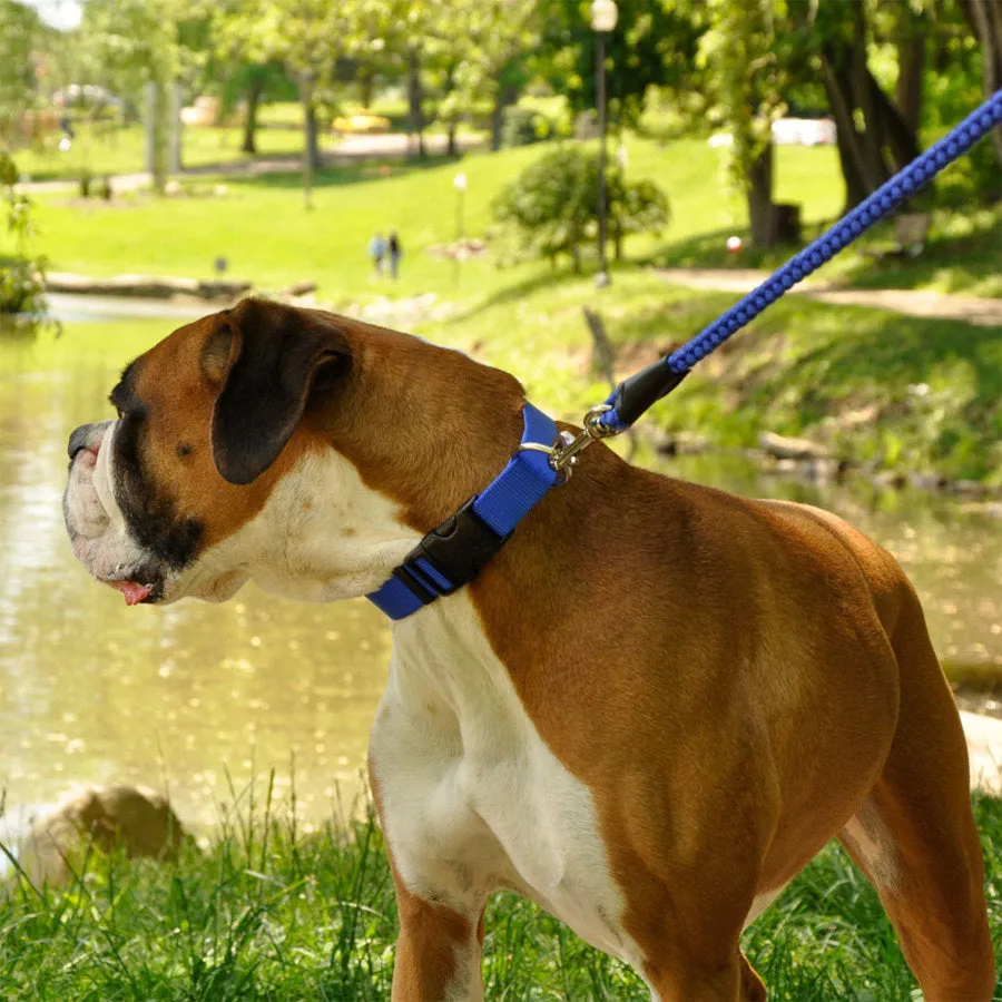 Coastal Adjustable Nylon Dog Collar with Plastic Buckle Blue 3/4 In X 14-20 in