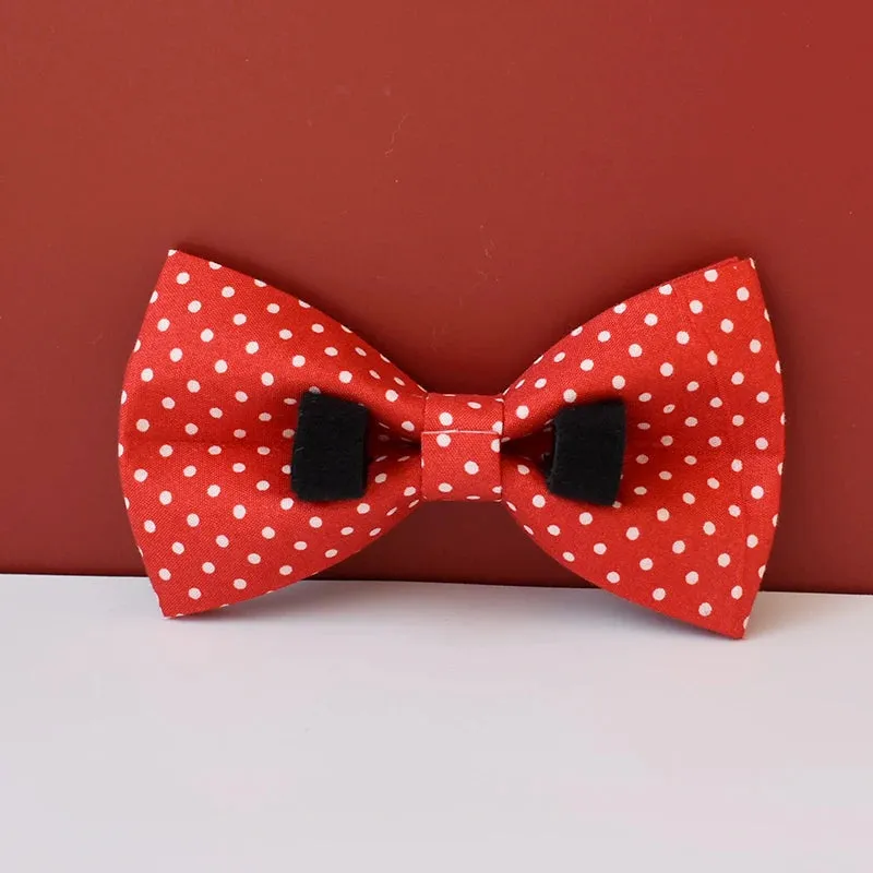 Dapper Pet: Polka Dot Pet Walking Accessories - Royal Red