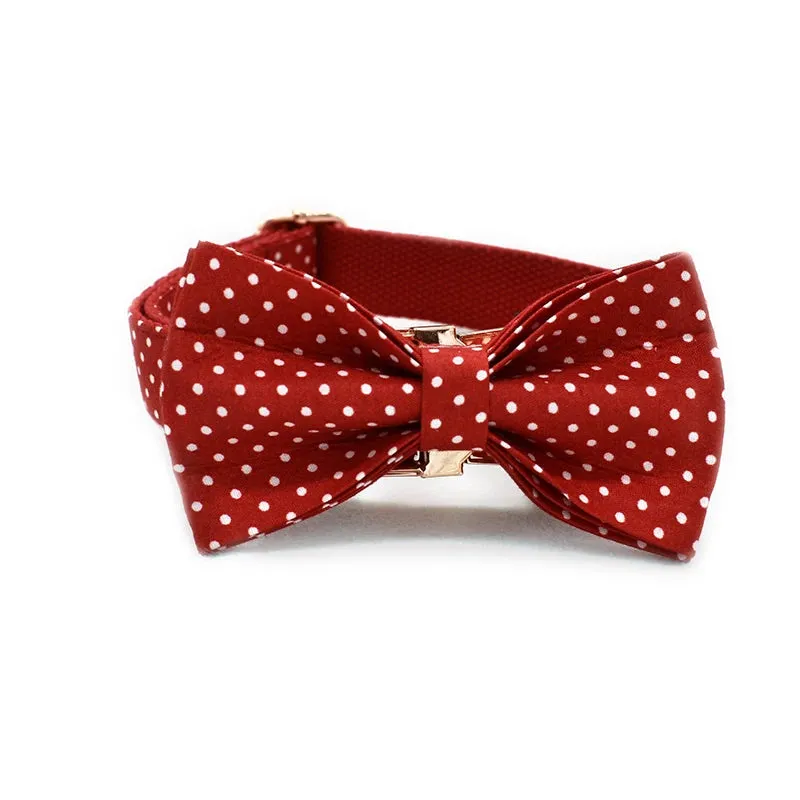 Dapper Pet: Polka Dot Pet Walking Accessories - Royal Red