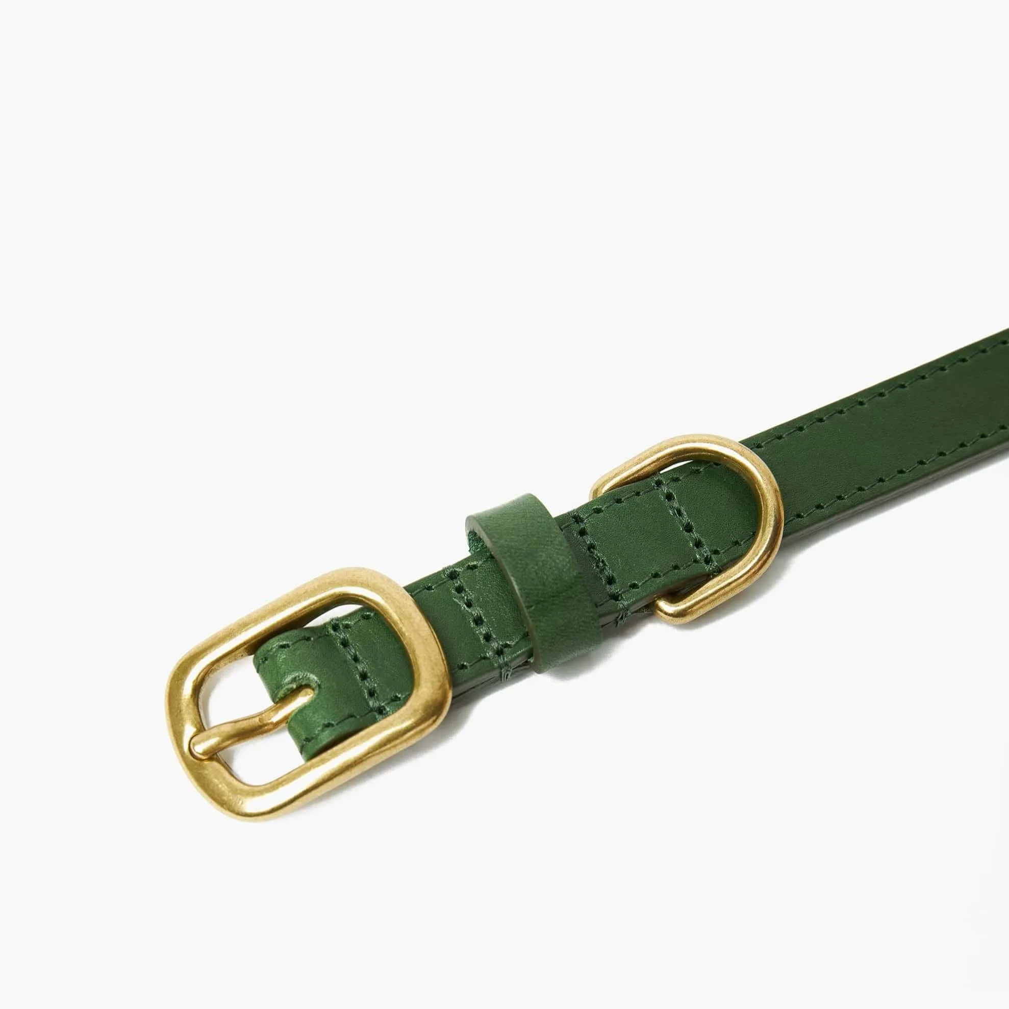 Emerald Green Leather Dog Collar & Lead Set with Gold Hardware