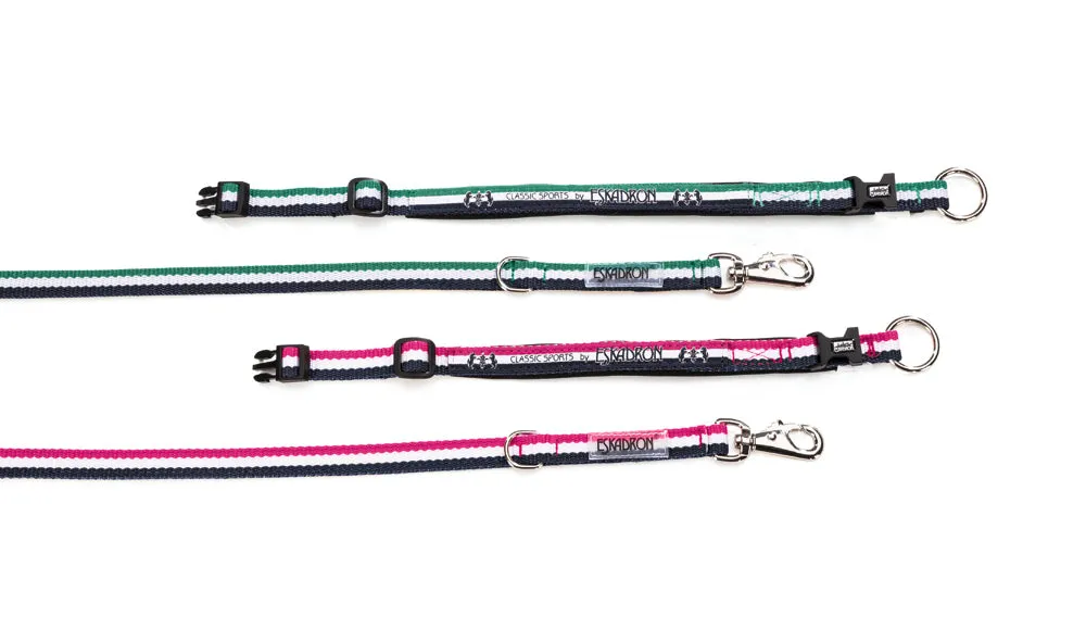 Eskadron Dog Collar and Lead Set