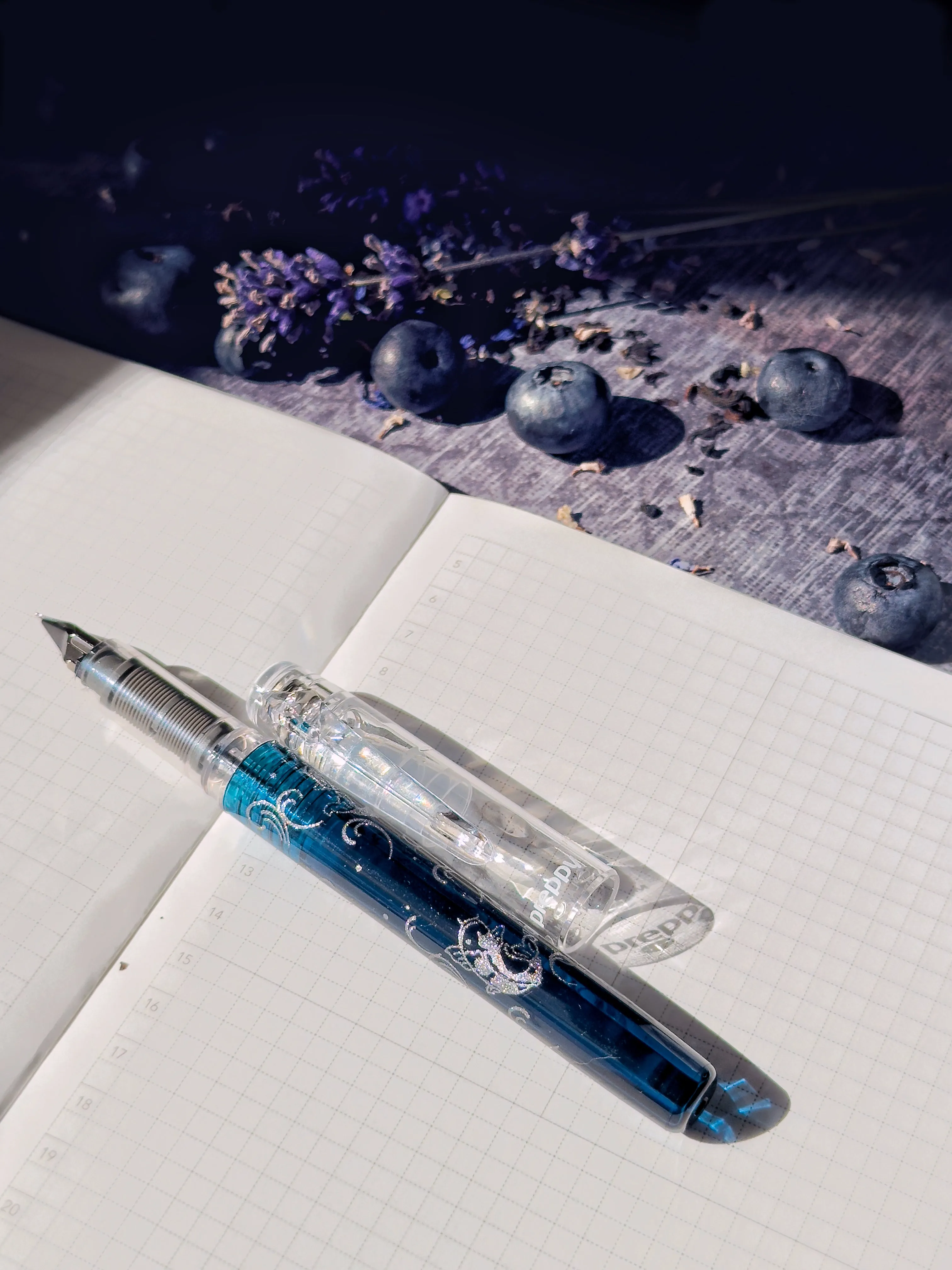 Platinum Fountain Pen | Preppy | Wa Maki-e | LIMITED EDITION