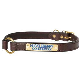 Premium Leather Dog Collar