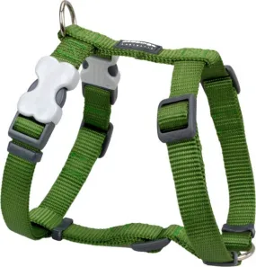 Red Dingo Harness Green Medium 20mm