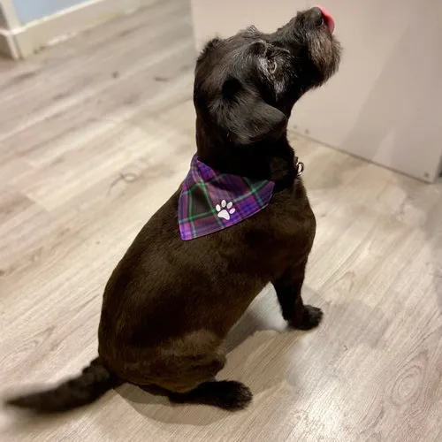 Sutherland Modern Tartan Pet Bandana