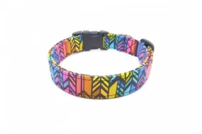 Vertical Rainbow Chevron Dog Collar