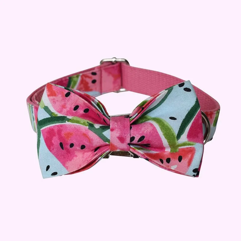 Watermelon Print Dog Collection for Vibrant Pet Style