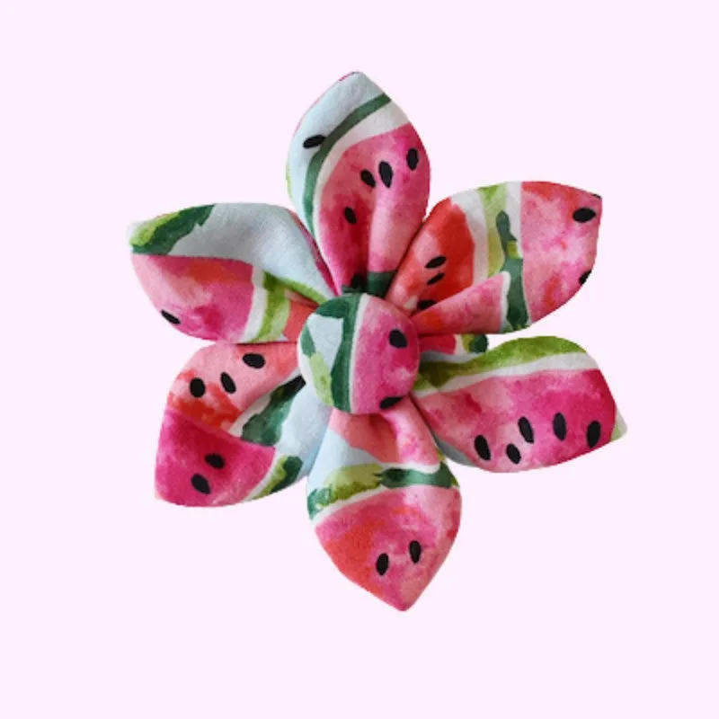 Watermelon Print Dog Collection for Vibrant Pet Style